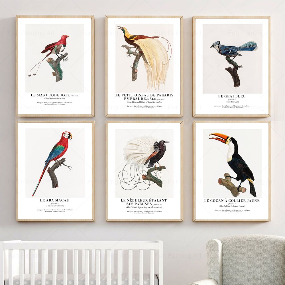 Furniture Paradise & Hardware Ghaziabad By Owner - Vintage Paradise Bird Wand Kunst Leinwand